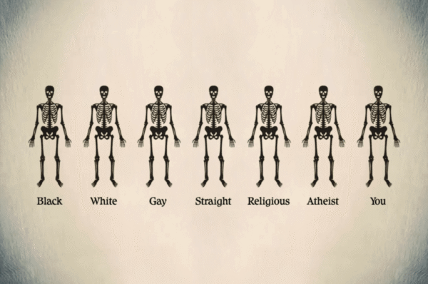 Alguém vê diferenças?