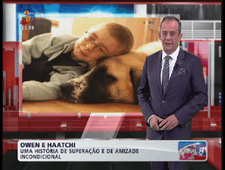 Owen e Haatchi, uma amizade incondicional