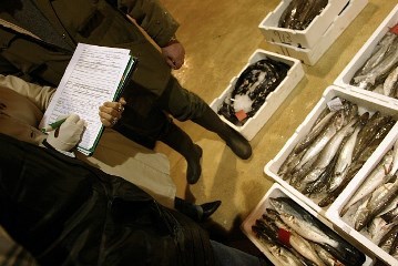 ASAE doa cerca de 30% dos bens apreendidos