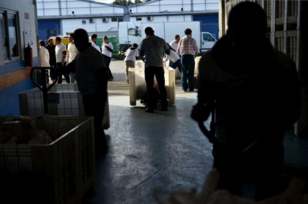 Bancos Alimentares contra a Fome recolheram menos alimentos do que em campanhas anteriores