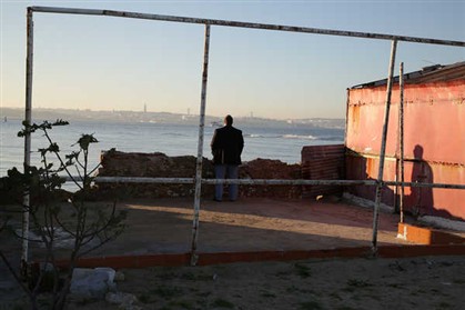Imigrantes clandestinos escondidos em camião que levava árvores de Natal