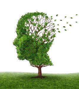 CURSO EM ALZHEIMER E OUTRAS DEMÊNCIAS, DIAGNÓSTICO DIFERENCIAL E INTERVENÇÕES TERAPÊUTICAS