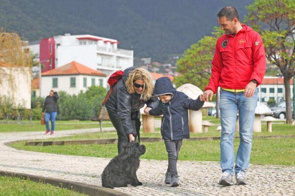Menino com autismo recebeu o primeiro cão de assistência entregue na Madeira
