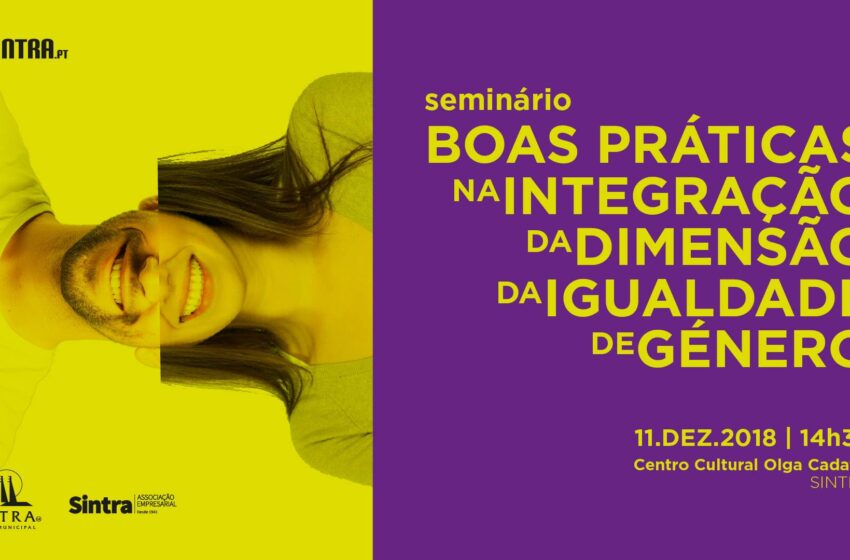  Seminário ” Boas Práticas na Integração da Dimensão da Igualdade de Género “
