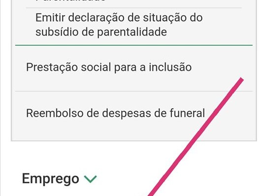 Trabalhadores Independentes : Disponível requerimento electrónico de apoio ao encerramento de escolas.