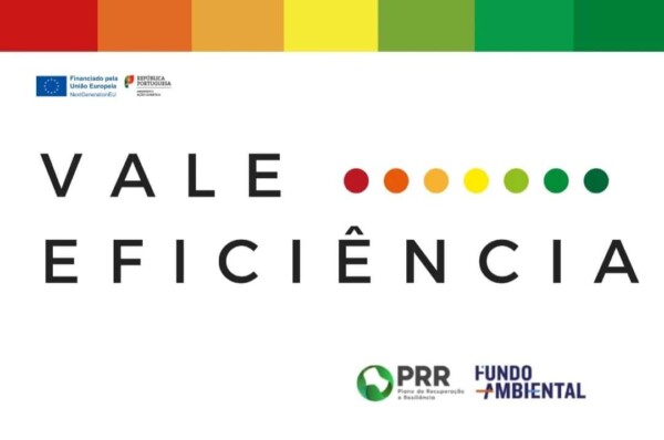 Programa Vale Eficiência 2021
