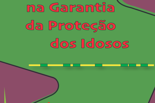 Regime do Maior Acompanhado